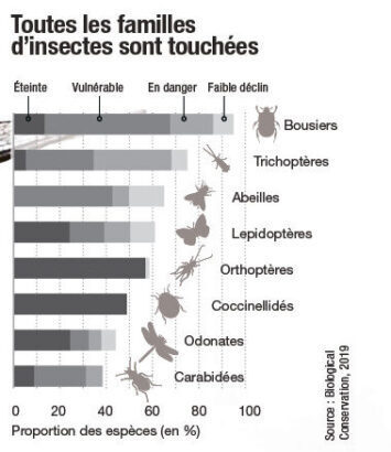 Déclin des insectes : alerte aux réactions en chaîne | EntomoNews | Scoop.it