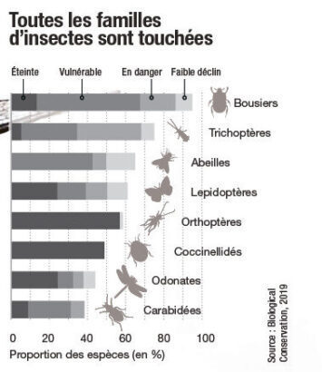 Le son de la terre : Le chant des grenouilles  L'Institut de Systématique,  Évolution, Biodiversité