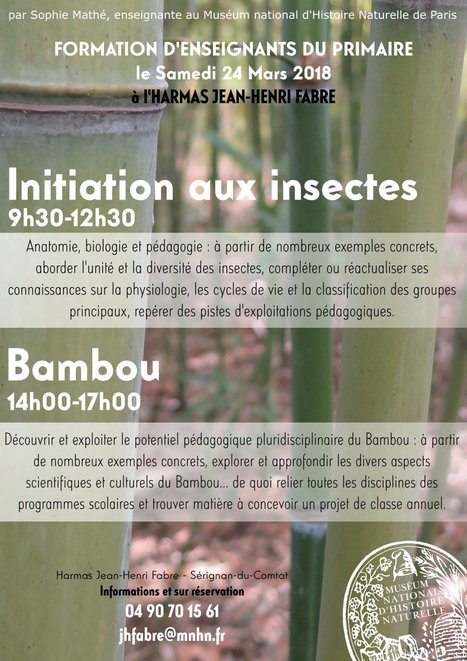 Formation pour les enseignants à l'Harmas Jean-Henri Fabre | Variétés entomologiques | Scoop.it