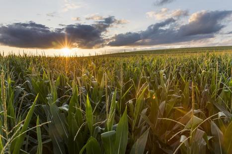 AG-TECH : La révolution numérique au service de l'agriculture | Elevage et numérique | Scoop.it