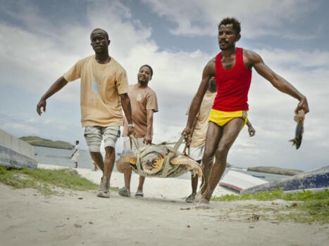 Sur la côte kényane, la petite ONG qui sauve les tortues par milliers | Biodiversité - @ZEHUB on Twitter | Scoop.it