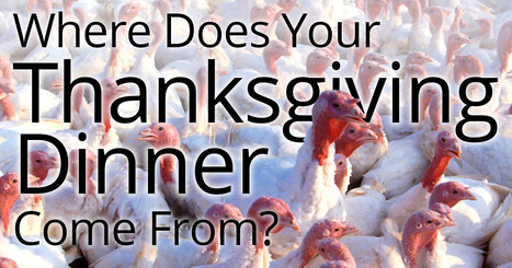Where does your Thanksgiving dinner come from? | 1Uutiset - Lukemisen tähden | Scoop.it