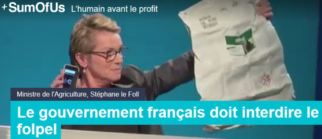 Pétition! Folpel: quand Stéphane le Foll tiendra-t-il sa promesse? | 16s3d: Bestioles, opinions & pétitions | Scoop.it