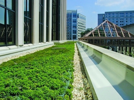 Put a Green Roof On It... : green example...The White House, Washington, D.C. | URBANmedias | Scoop.it
