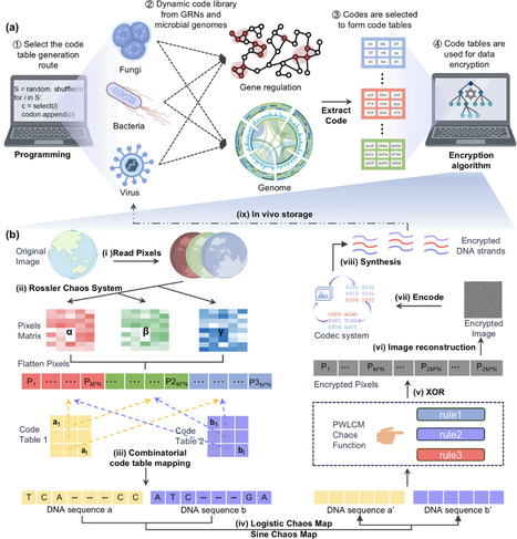 Highly Secure In Vivo DNA Data Storage Driven by Genomic Dynamics | advS | RMH | Scoop.it