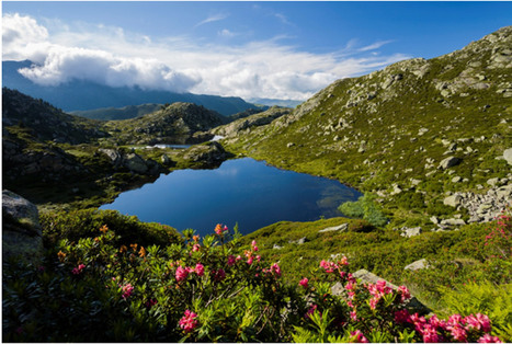 Un nouvel espace naturel transfrontalier est né : le Parc Pyrénéen Des Trois Nations - Le Blog Des Pyrénées | Biodiversité | Scoop.it