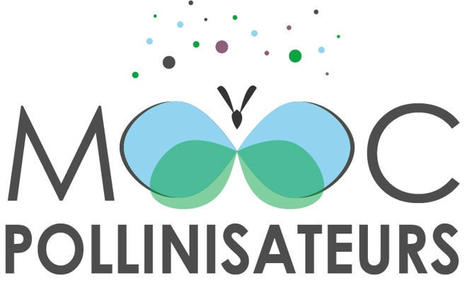 Le MOOC Pollinisateurs ouvrira le 20 mars 2023 pendant 7 semaines | Variétés entomologiques | Scoop.it