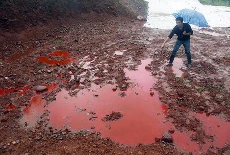 China needs patience to fight costly war against soil pollution: government | ASIES | Scoop.it