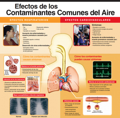 CONTAMINACIÓN del AIRE de nuestras ciudades.., MÁS PELIGROSO que FUMAR | La R-Evolución de ARMAK | Scoop.it