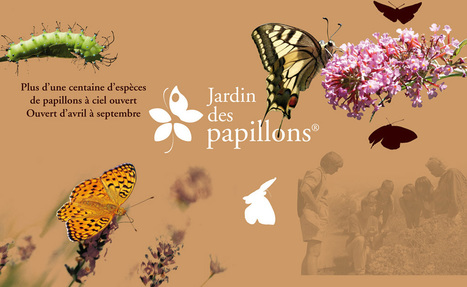 Association Proserpine -  Jardin des papillons - Digne-les-Bains | Variétés entomologiques | Scoop.it
