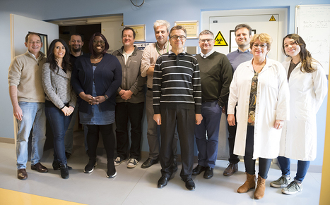 Quand le LBPA r&eacute;siste au VIH | Life Sciences Universit&eacute; Paris-Saclay | Scoop.it
