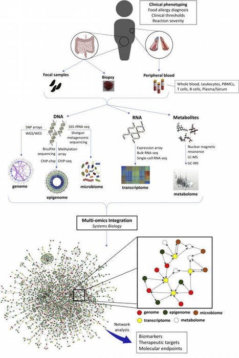 Advancing Food Allergy Through Omics Sciences | Allergy (and clinical immunology) | Scoop.it