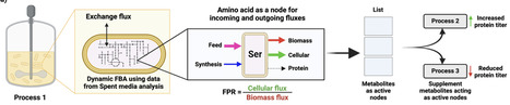 Process Intensification for Recombinant Protein Production in E. coli via Identification of Active Nodes in Cellular Metabolism and Dynamic Flux Balance Analysis | BaB | RMH | Scoop.it