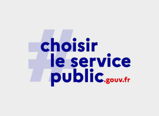 Choisirleservicepublic.gouv.fr, la marque employeur des services publics | Veille juridique du CDG13 | Scoop.it