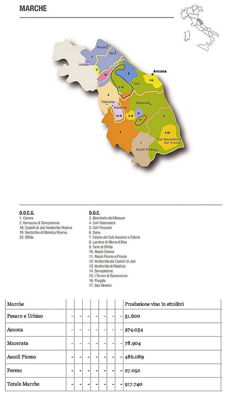 Le Marche in thirteenth place of Italian viticulture | Good Things From Italy - Le Cose Buone d'Italia | Scoop.it