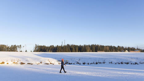 Kireimm&auml;t pakkaset hellitt&auml;v&auml;t tulevalla viikolla &ndash; ainakin hetkeksi - Uutiset kotimaasta ja maailmalta | 1Uutiset - Lukemisen t&auml;hden | Scoop.it