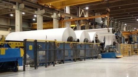 U.S. tariffs removed from Port Hawkesbury Paper's products | Timberland Investment | Scoop.it