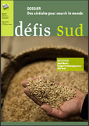 Des céréales pour nourrir le monde | Questions de développement ... | Scoop.it