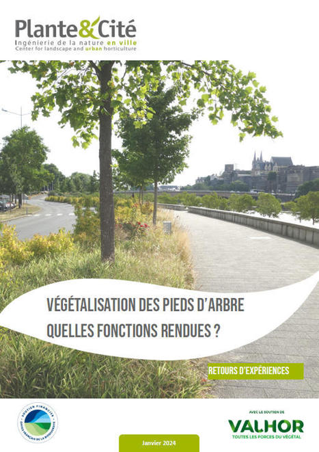 Végétalisation des pieds d'arbre : quelles fonctions rendues ? | Les entreprises du paysage | La SELECTION du Web | CAUE des Vosges - www.caue88.com | Scoop.it