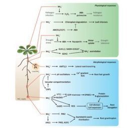 What We’re Reading: April 7 | Plant Biology Teaching Resources (Higher Education) | Scoop.it