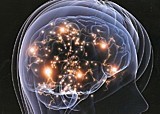A Primer: Neuroscience and Teaching Strategies | Educational Psychology, AI, & Emerging Technologies: Critical Thinking on Current Trends | Scoop.it