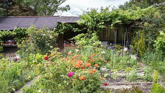 Laisser pousser la pelouse, aménager des refuges, arrêter de nourrir les oiseaux... Six conseils pour que votre jardin préserve la biodiversité | Environnement - Développement durable - Climat | Scoop.it