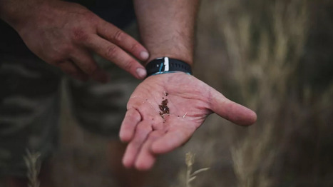 Pesticides : alors que la France interdit l'acétamipride, l'Union européenne lâche du lest | Revue de presse du Centre de doc | Scoop.it