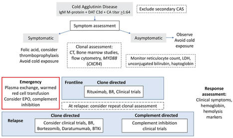 IgM monoclonal gammopathies of clinical significance: diagnosis and management	| Haematologica | Hematology | Scoop.it