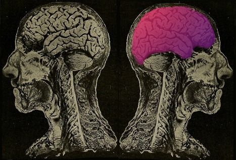 VR and Anxiety – Axiom Zen Team – Medium | :: The 4th Era :: | Scoop.it