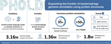 Protein structure-informed bacteriophage genome annotation with Phold | nar | RMH | Scoop.it