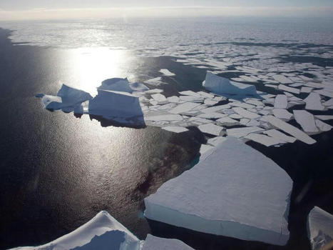 &lsquo;Something weird is going on&rsquo;: search for answers as Antarctic sea ice stays at historic lows | Climate Chaos News | Scoop.it