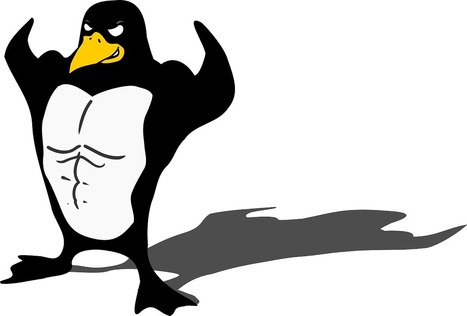 Qué distribución Linux elegir si quieres saber de que se trata | tecno4 | Scoop.it