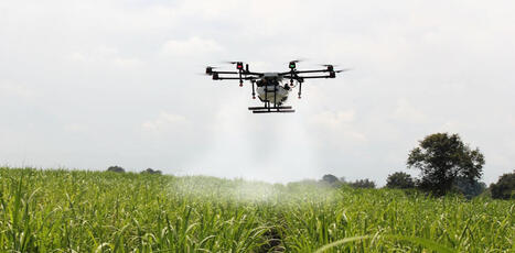 AI isn&rsquo;t likely to wipe out all farming jobs &ndash; but it is changing who bears the risks | AI for All | Scoop.it