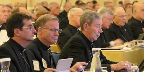 Service to report sex abuse of US Catholic bishops goes live in midst of coronavirus pandemic  | LifeSite | Operation Phobos | Scoop.it