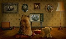 ANALYSIS: Stirring the television cauldron  | TV Press Review | Scoop.it