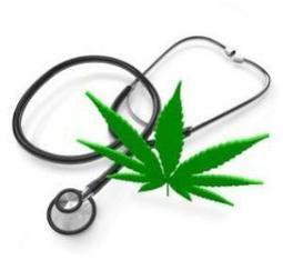 Medical Marijuana Update | StoptheDrugWar.org | Beckley News : Cannabis - Marijuana | Scoop.it