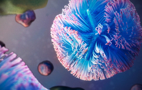 This Giant Virus Hijacks Cells&rsquo; Protein-Making Machinery to Multiply Wildly | Virus World | Scoop.it