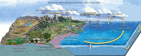Our water cycle diagrams give a false sense of water security | Stage 4 Water in the World | Scoop.it