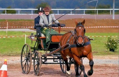 Attelage : Hervé Conan, vice-champion de France à Lisieux , Landivisiau 23/10/2012 - ouest-france.fr | Cheval et sport | Scoop.it