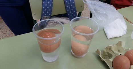 TIC y TAC PARA LA INCLUSI&Oacute;N | Educaci&oacute;n Siglo XXI, Econom&iacute;a 4.0 | Scoop.it