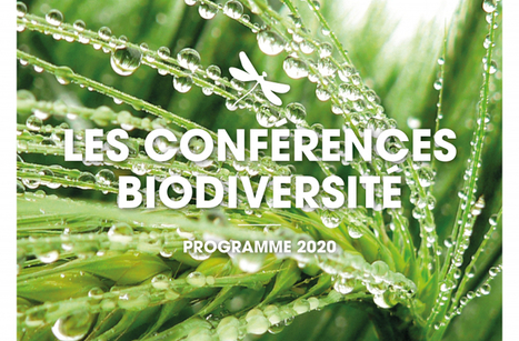 [Revoir, écouter] Conférences publiques 2020 ARB îdF | Variétés entomologiques | Scoop.it