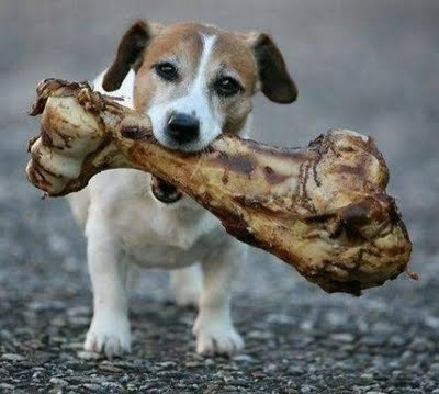 O Correio-Mor: Ter mais olhos que barriga | APOIO AO ESTUDO | Scoop.it