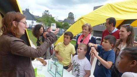 Auray. La Semaine du Golfe s’invite dans les quartiers | L'actualité des quartiers politique de la ville de Bretagne et Pays de la Loire | Scoop.it