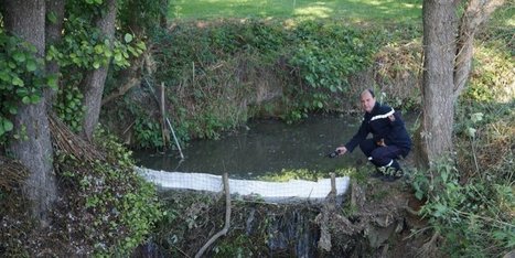 Tonneins : une fuite dans une cuve agricole à l'origine de la pollution du ruisseau / www.sudouest.fr/ du 29.05.2015 | Pollution accidentelle des eaux par produits chimiques | Scoop.it