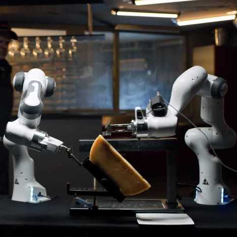 Le Robot à Raclette | FLEursdeFLE | Scoop.it