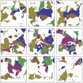 The Emergence of Environmental Homeostasis in Complex Ecosystems | Papers | Scoop.it