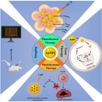 A glance on gold nanoparticle: An emerging ther...