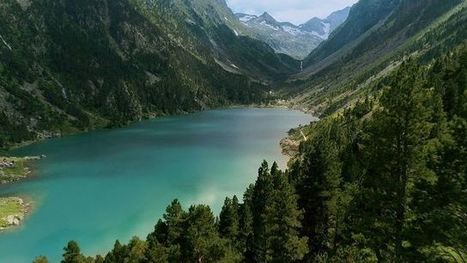 Parc National des Pyrénées, la nature sans entraves | Biodiversité | Scoop.it
