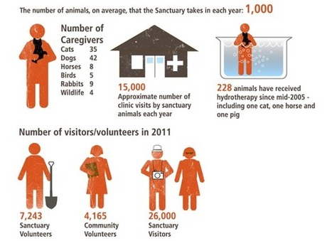 Nonprofit Storytelling with Infographics | Visualization Techniques and Practice | Scoop.it