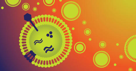 Extracellular Vesicle/Exosome Upstream Process Development: Maximizing Productivity to Accelerate Clinical Adoption | Tailored Expertise Sourcing & Market Intelligence in Global Consulting | Scoop.it